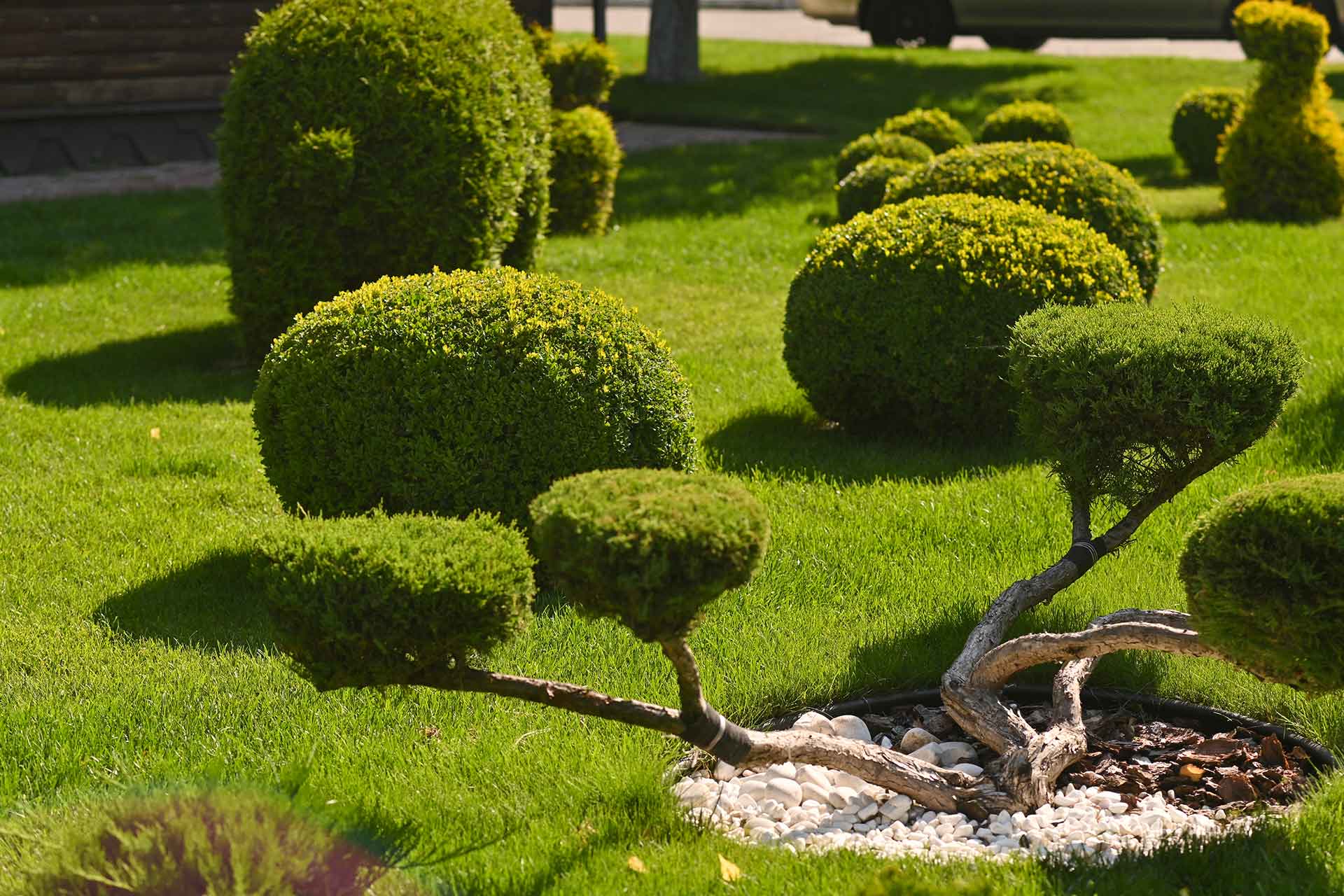 Landscaping design for a public garden, featuring various plants, shrubs, and pathways.